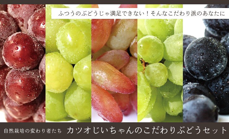 山梨県から“カツオじいちゃんのこだわりぶどうセット”を産地直送!