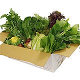 ��肳��́u���_��؁v�Z�b�g