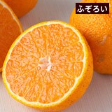 中田さんのふぞろい不知火(しらぬい) 約5kg