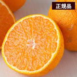 中田さんの不知火(しらぬい) 約3kg