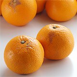 ӂ낢g͂@2.5kg