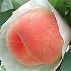 久津間さんのずっしり桃(浅間2号)約2kg