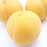 久津間さんのずっしり桃(黄金桃)約2kg