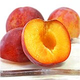 久津間さんのずっしりスモモ(貴陽)約1kg