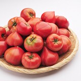 照喜治じいの高糖度トマト(約1kg)