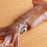 呼子の刺身用ヤリイカ