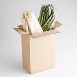 ���͂����̗l�q