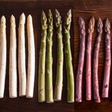 �ɐ��A�X�p����900g�i�~�b�N�X�@���A�΁A���j