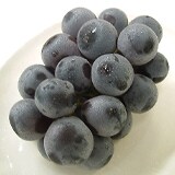 根本さんのハウス巨峰(約1kg)