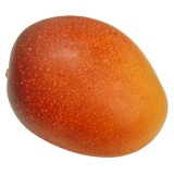 Ŋy}S[(1)