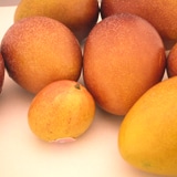 ӂ낢y}S[ 1kg