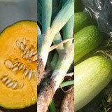 岩崎さんの『感農野菜』-夏スペシャル-