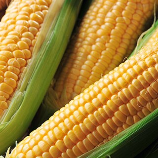 極生フルーツコーン