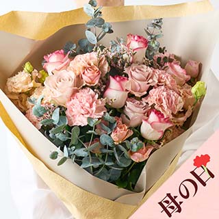 �y��̓��z�G���K���g�K�[�f�����[�Y