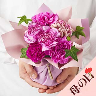 �y��̓��z�X�^���f�B���O�u�[�P �@�p�[�v��