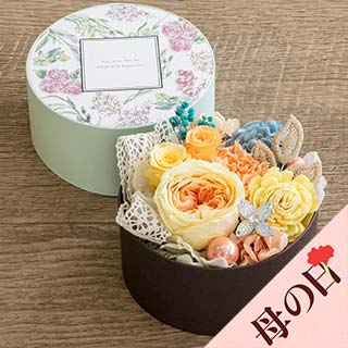 �y��̓��z�v���U�[�u�h�t�����[�r�W���R�t���I�����W