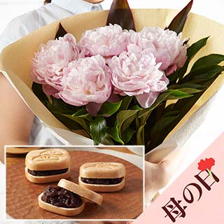 �đ��� �Œ� 6��/���䉖�u�[�P �s���N