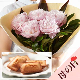 �t�B�i���V�F/���䉖�u�[�P �s���N