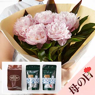 �g��2��&�R�[�q�[set/���䉖�u�[�P �s���N