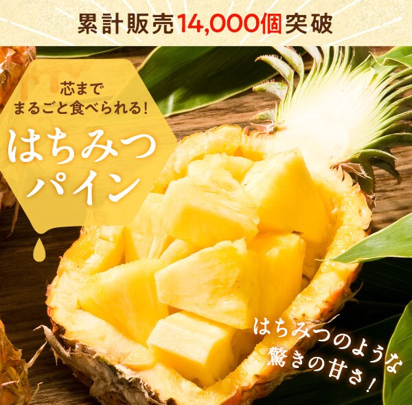 おうちで焼きたてミニパンオショコラ ミニクロワッサン ｏｉｓｉｘ産直おとりよせ市場