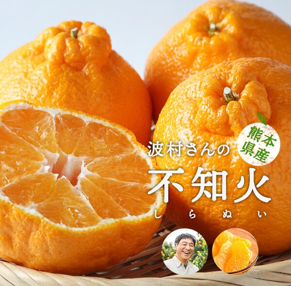 信州さみずりんご 選べる 食べ比べ便 ｏｉｓｉｘ産直おとりよせ市場