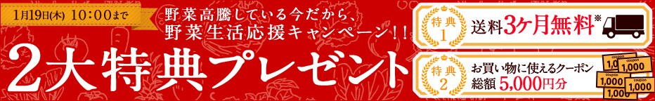 �u����������������ԁv�ɓ����