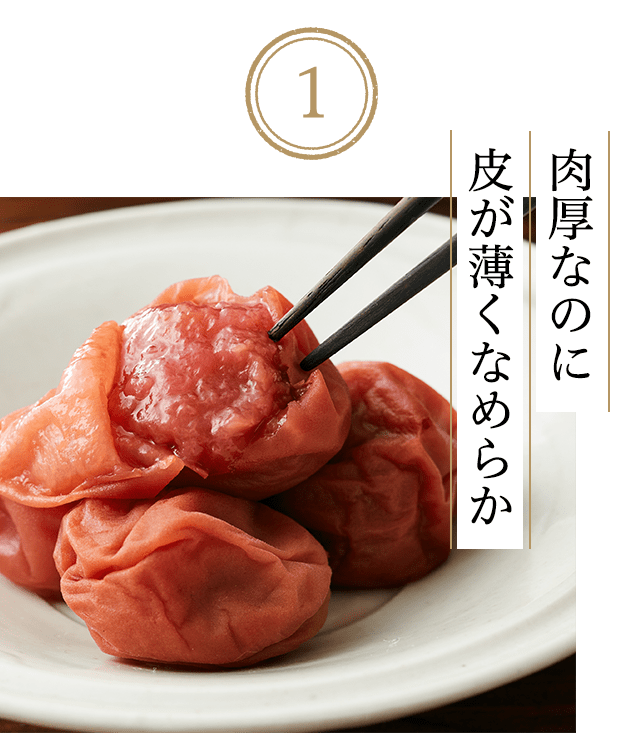 紀州南高梅定期便 oisixの定期宅配サービス おいトク 紀州南高梅定期便 oisixの定期宅配サービス おいトク