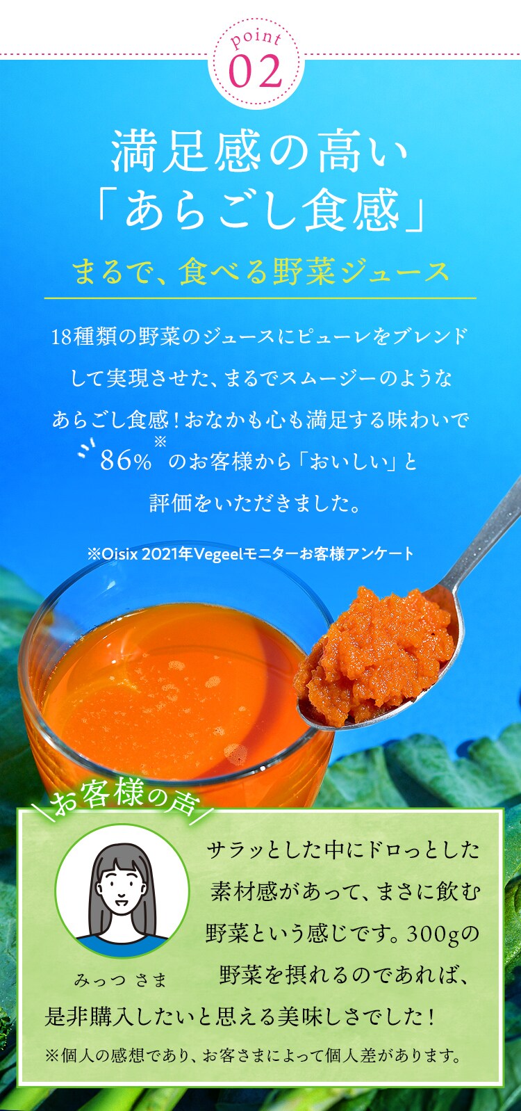 Vegeel(ベジール)定期便｜ Ｏｉｓｉｘの定期宅配サービス「おいトク」