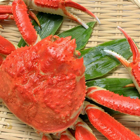 Ỉ摜