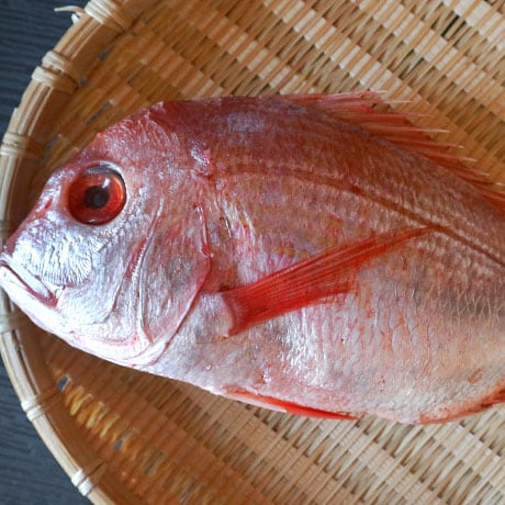 ̉摜