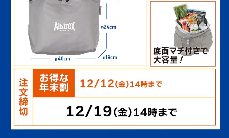 撅300 Albirex~Oisix IWifUC N[[~j}VFobOv[g