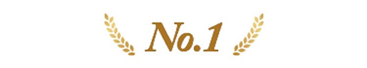 No.1