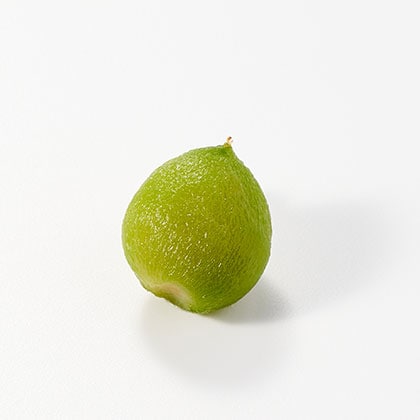 ᓍØI