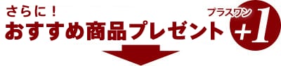 ɁAߏivX