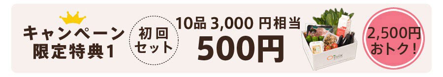 500~Zbg