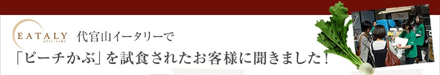 ㊯RC[^[̂qlɕ܂I