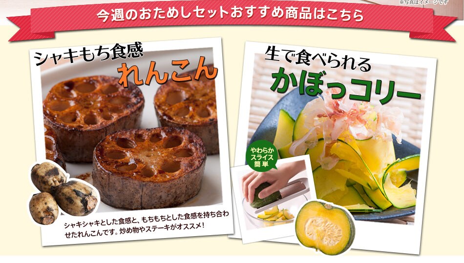 ミイル限定おためし今週のおためしセットおすすめ