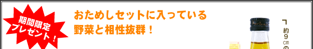 2週間限定プレゼント!おためしセットに入っている野菜と相性抜群!