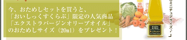 今、おためしセットを買うと、「おいしっくすくらぶ」限定の人気商品「エクストラバージンオリーブオイル」のおためしサイズ(20ml)をプレゼント!