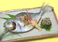Vs摜