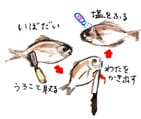 摜