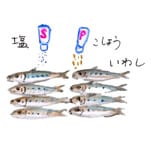 小画像