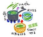 摜