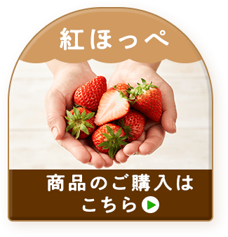 埼玉うまれのいちご あまりん｜ Oisix産直おとりよせ市場