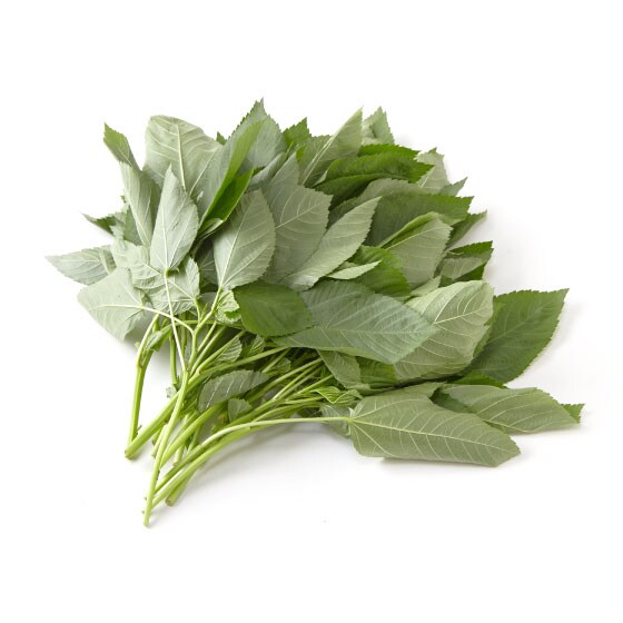 有機栽培モロヘイヤ 茨城県産 杜さん他 オイシックス公式