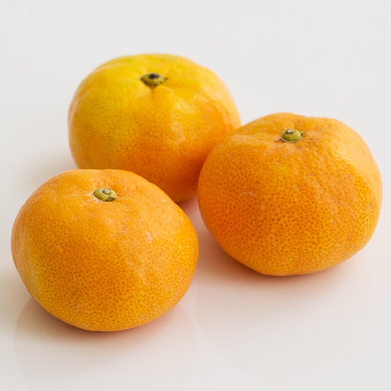 みかんさん専用 northfarm きたさんちのみかん