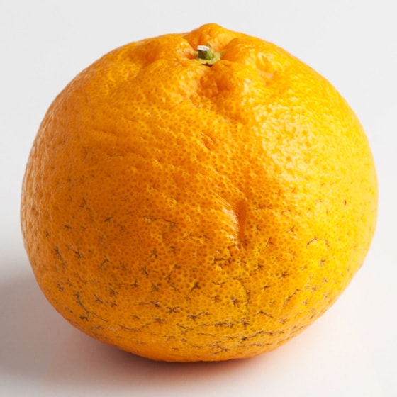 ӂ낢sm(F{Y c)