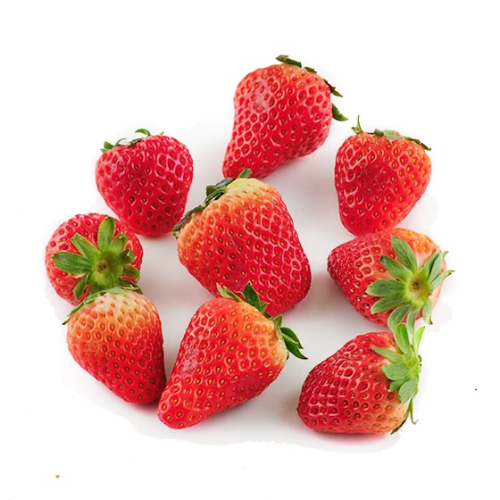 �������i�g�ق��� ���茧�Y�j