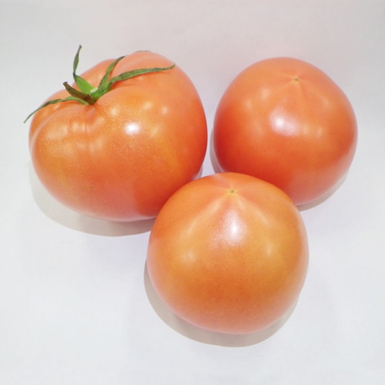 話題の人気 美しい紅色が自慢の トマト(400g 長崎県産 杉本さん他)|有機野菜 メンテナンス