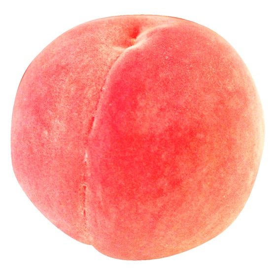 (Y )